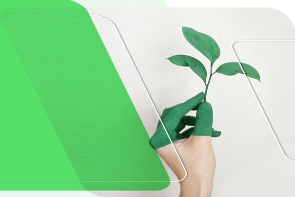 Green Transition of Businesses: Public Policy Document