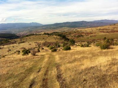 Compilation of a Feasibility study for the Osogovo Mountains Transboundary Biosphere Reserves 