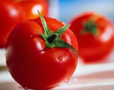 Анализа на Вредносен Синџир на Свеж Зеленчук во Македонија