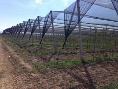 Technical Assistance in the  Introduction of Sustainable Farming Practices in the Strumica River Bas